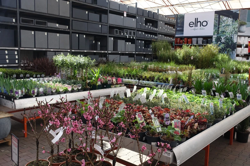 Tuinplanten koop je bij tuincentrum Osdorp in Amsterdam