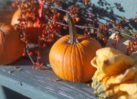 1. Herfststilleven met pompoenen 1. Herfststilleven met pompoenen