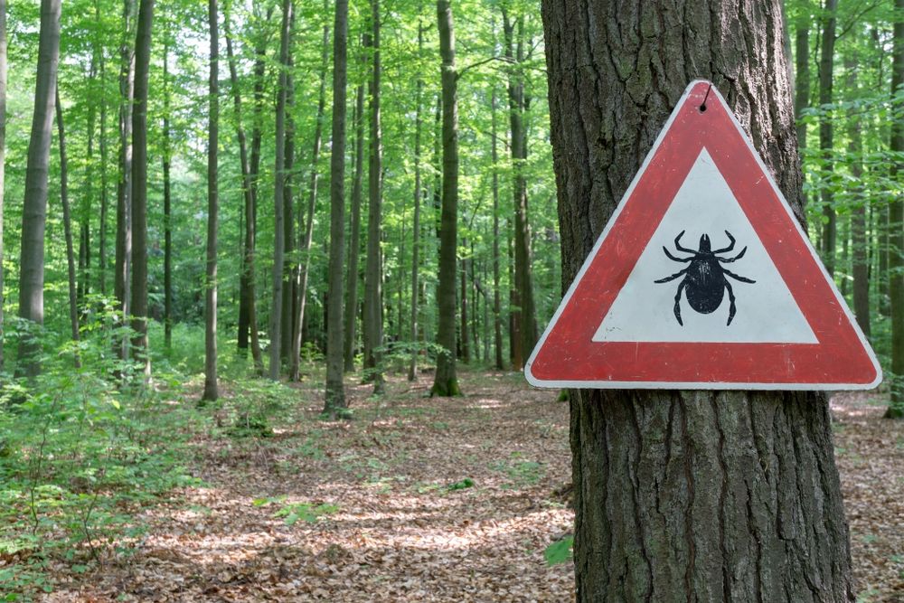 Anti-teken-tips Anti-teken-tips