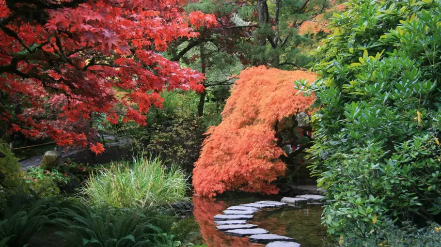 De nieuwe folder is uit