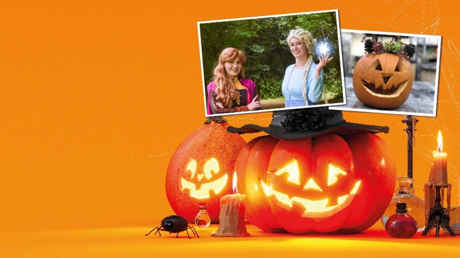 Activiteiten in de herfstvakantie