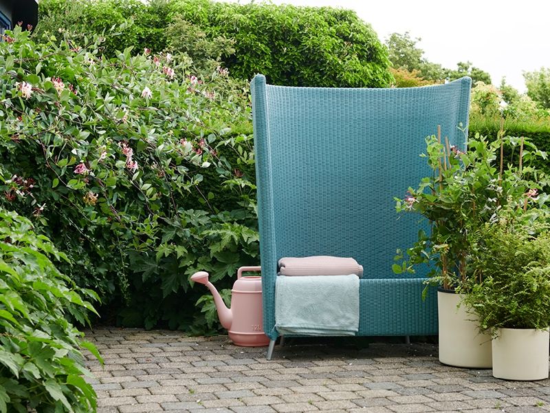Kamperfoelie: tuinplant van de maand juni Kamperfoelie: tuinplant van de maand juni