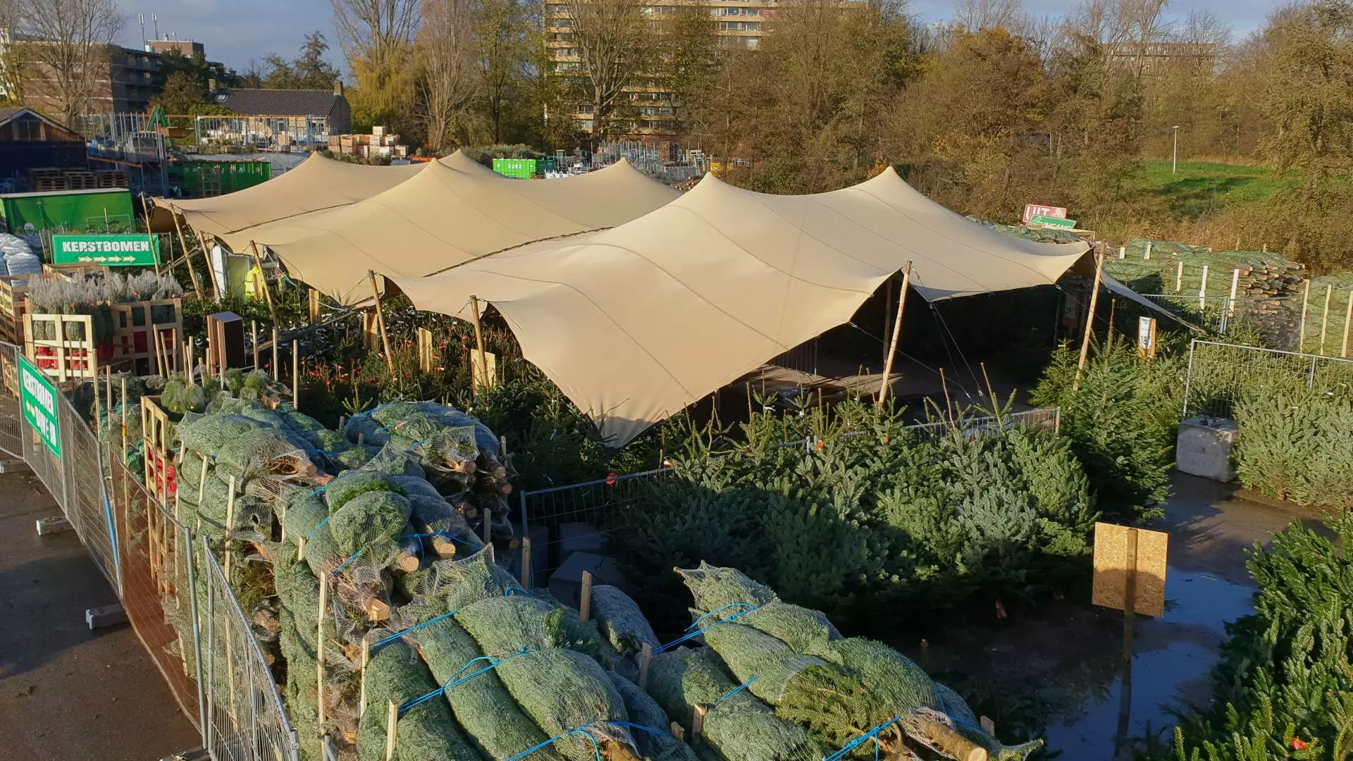 Kerstboom kopen in Amsterdam West?