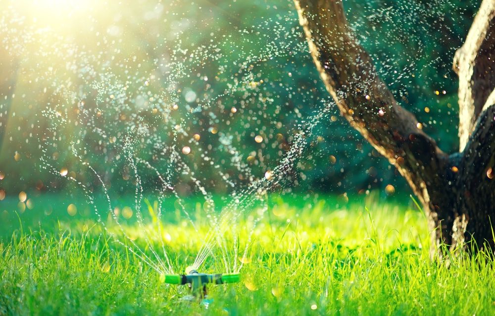 Slimme tips voor het water geven van tuin- en balkonplanten Slimme tips voor het water geven van tuin- en balkonplanten