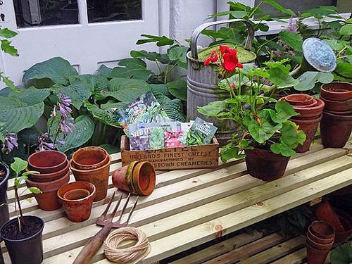 Tuintips voor september: de to-do’s! Tuintips voor september: de to-do’s!