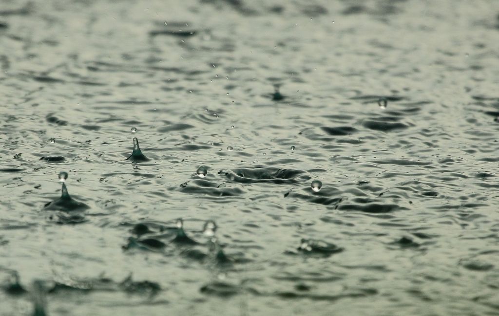 Wateroverlast? Tips tegen een overstroomde tuin Wateroverlast? Tips tegen een overstroomde tuin