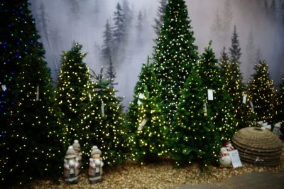 De mooiste kunstkerstbomen met ingebouwde kerstverlichting op een rij!