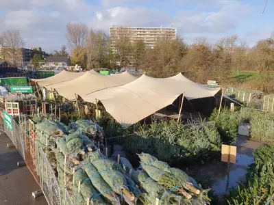 Kerstboom kopen in Amsterdam? Kom naar tuincentrum Osdorp