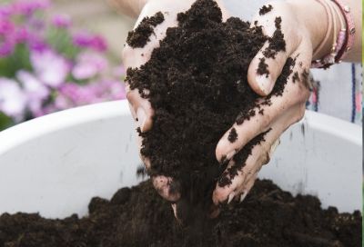 Klusjes voor de tuin: je eigen to-do-lijst voor april