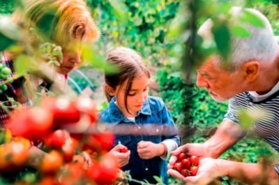 Mini-moestuin te klein? Ga voor een grote oogst