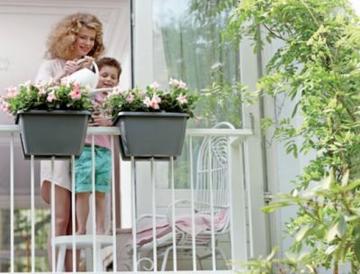 Planten op je balkon: welke planten doen het goed?