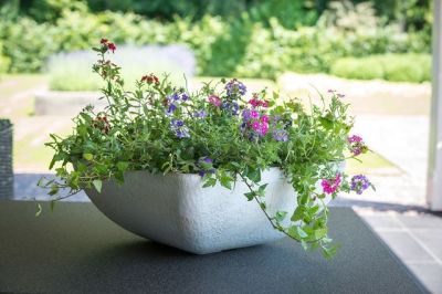 To do in augustus: tips voor nog meer bloeiende planten