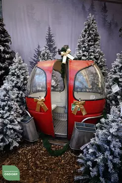 Een glimp van het kunstkerstbomenbos
