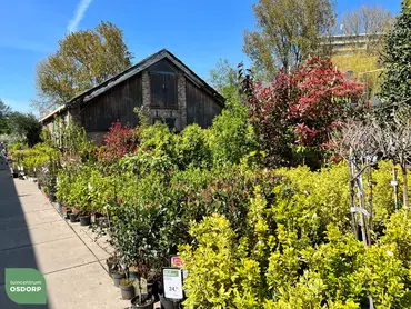 Tuinplanten afdeling