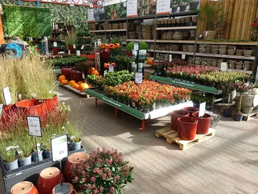 Eenjarige planten afdeling
