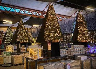 Kerstverlichting - Kerstshow 2022