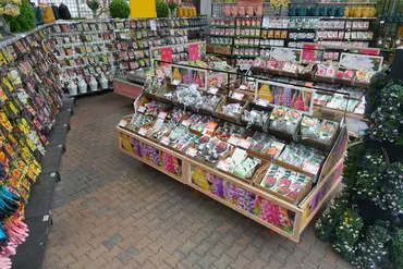 Een glimp van onze zomerbloembollen afdeling!