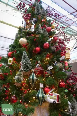 So this is Christmas kersttrend uit kerstshow 2022