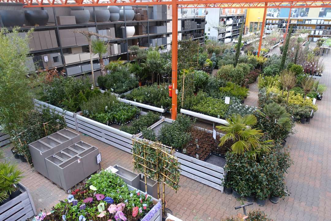 Tuincentrum amsterdam west