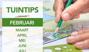 Tuintips Febuari