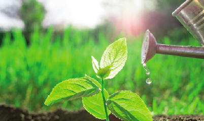 Slim water geven, hoe doe je dat? Tuincentrum Osdorp