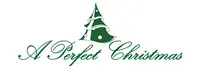 A Perfect Christmas