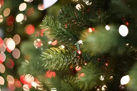 A Perfect Christmas Georgia smalle kunstkerstboom groen 274cm - 2550 rode & witte lampjes - afbeelding 3