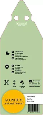 Aconitum Carmichaelii Arendsii (Monnikskap) - afbeelding 2