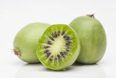 Actinidia arguta 'Issai' (Kiwi 'Issai') - afbeelding 4