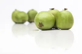 Actinidia arguta (Kiwibes) - afbeelding 4