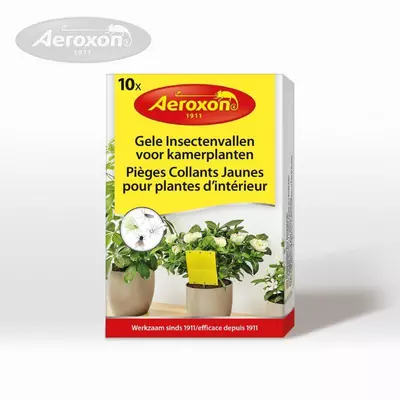 Aeroxon gele insectenvallen voor kamerplanten