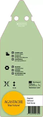 Agastache Hybr. Blue Fortune (Dropplant) - afbeelding 2