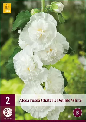 Alcea rosea double white 2 stuks - afbeelding 1