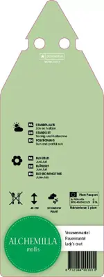 Alchemilla Mollis (Vrouwenmantel) - afbeelding 2