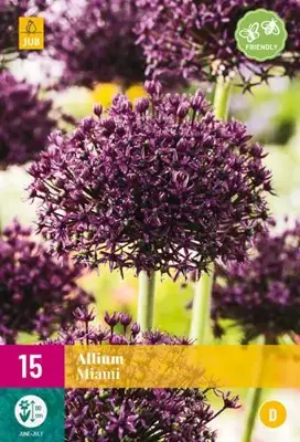 Allium Miami 15 allium bollen - afbeelding 2