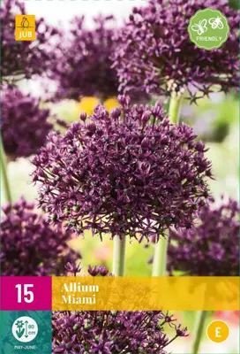 Allium Miami 15 allium bollen - afbeelding 1