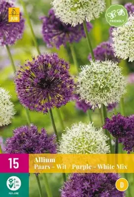 Allium Paars/Wit 15 allium bollen - afbeelding 2