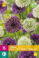 Allium Paars/Wit 15 allium bollen - afbeelding 1
