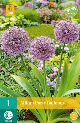 Allium Party Balloons 1 allium bol - afbeelding 1
