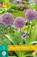 Allium Party Balloons 1 allium bol - afbeelding 1