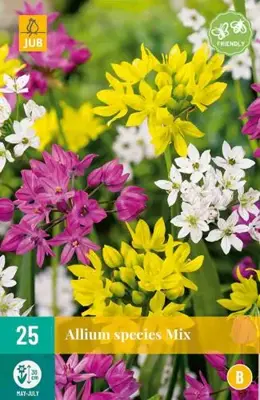 Allium species Mix 25 allium bollen - afbeelding 2