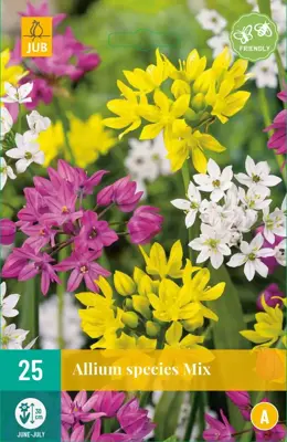 Allium species Mix 25 allium bollen - afbeelding 1
