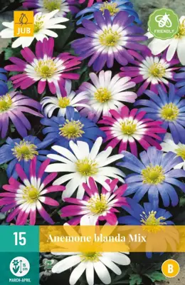 Anemone blanda mix 15 bloembollen - afbeelding 1