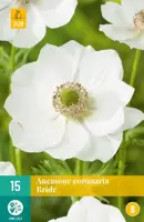 Anemone cor. bride 15 stuks - afbeelding 1