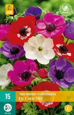 Anemone cor. de caen mix 15 stuks - afbeelding 2