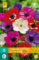 Anemone cor. de caen mix 15 stuks - afbeelding 2