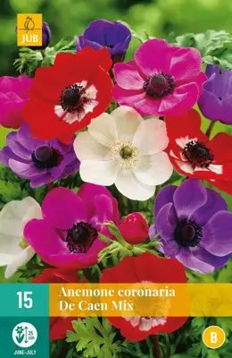 Anemone cor. de caen mix 15 stuks - afbeelding 1