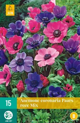 Anemone cor. paars/roze mix 15 stuks - afbeelding 1