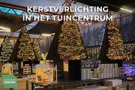 Anna's Collection glas ster kerstverlichting wit-goud 15cm  10LED classic warm - afbeelding 2