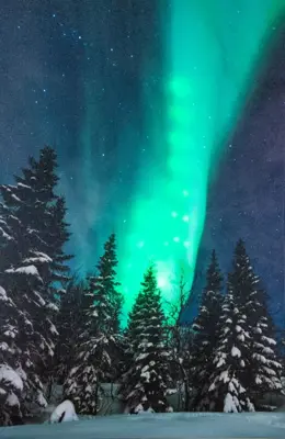 Anna's Collection LED canvas noorderlicht 38 x 58cm - afbeelding 2